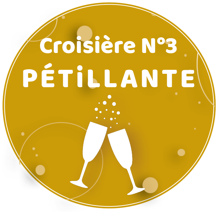 navipromer la rochelle